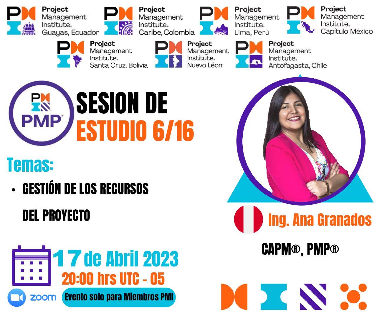 sesion6pmp.jpeg